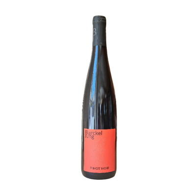 2024 Pinot Noir