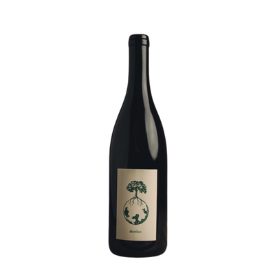 2023 Morillon vom Opok