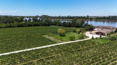 Chateau Shuette