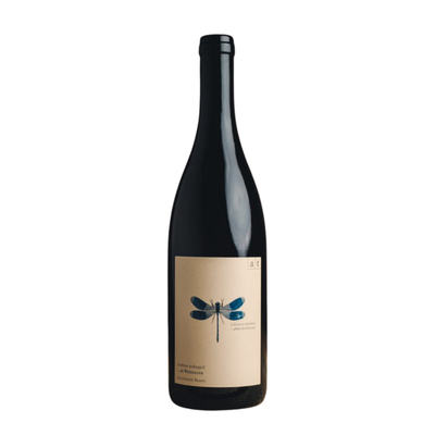 2023 Blaue Libelle