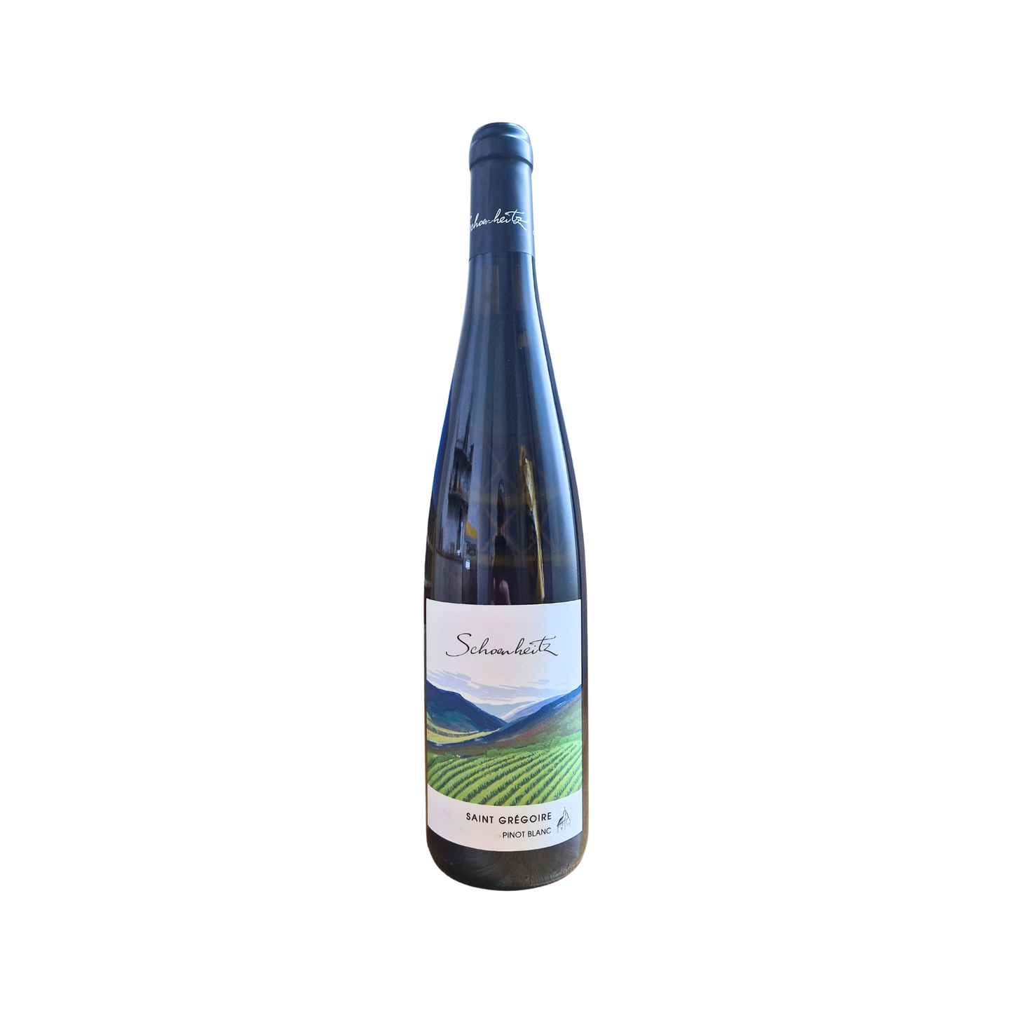 2023 Pinot Blanc (Saint Gregoire)