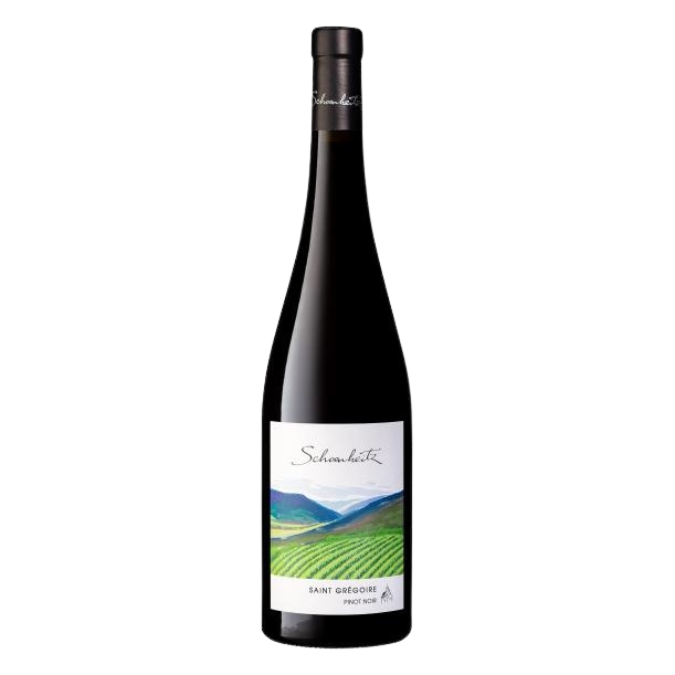 2023 Pinot Noir (Saint Gregoire)