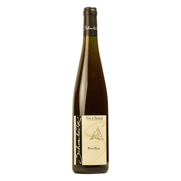 2023 Pinot Noir