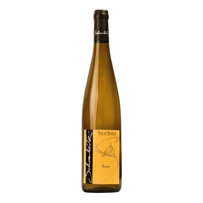 2023 Tokade (Linsenberg)