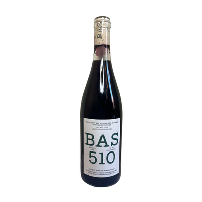BAS 510