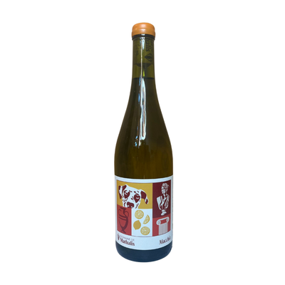 2024 Macchia